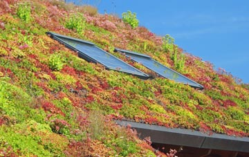 Crowle living roof systems